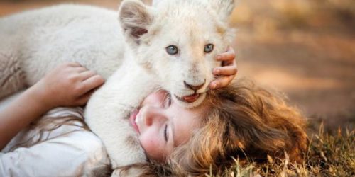 Mia e il leone bianco